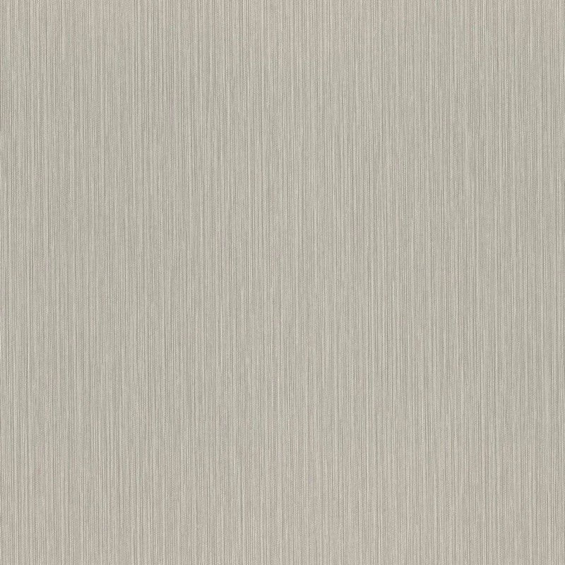 Обои 977257 Rasch Metal Spirit / Wall Textures XL