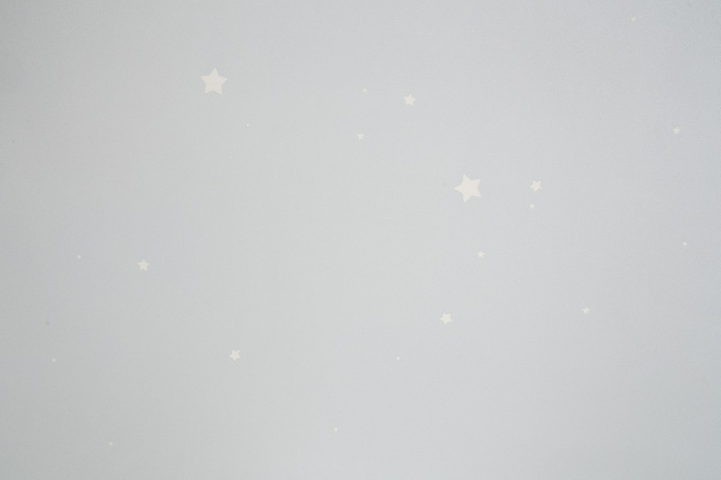 Обои HC72162-14 Palitra Home Color Мечта Palitra Home Color коллекция Мечта производства РОССИЯ в интернет-магазине Обоитрейд