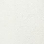 Обои 9855 Marburg Patent Decor Marburg коллекция Patent Decor производства Германия в интернет-магазине Обоитрейд