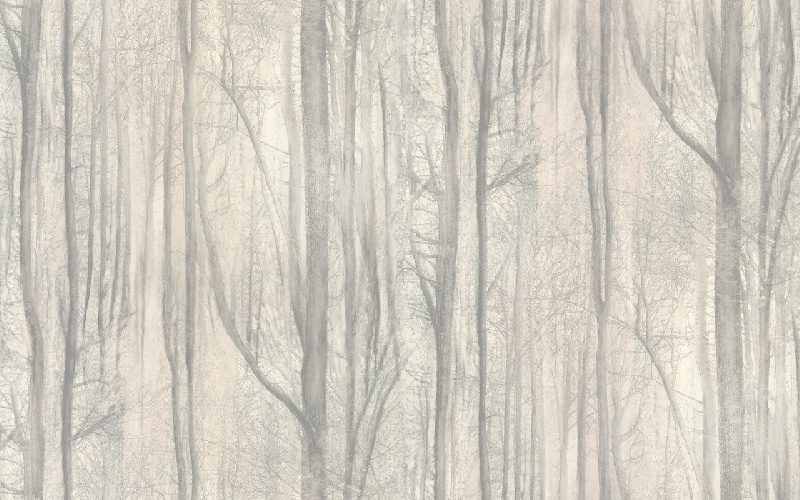 Обои 70392-24 R аспект Акцент Таинственный лес