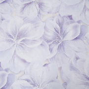 Обои HC72272-16 Home color Nimfa Home color коллекция Nimfa производства РОССИЯ в интернет-магазине Обоитрейд