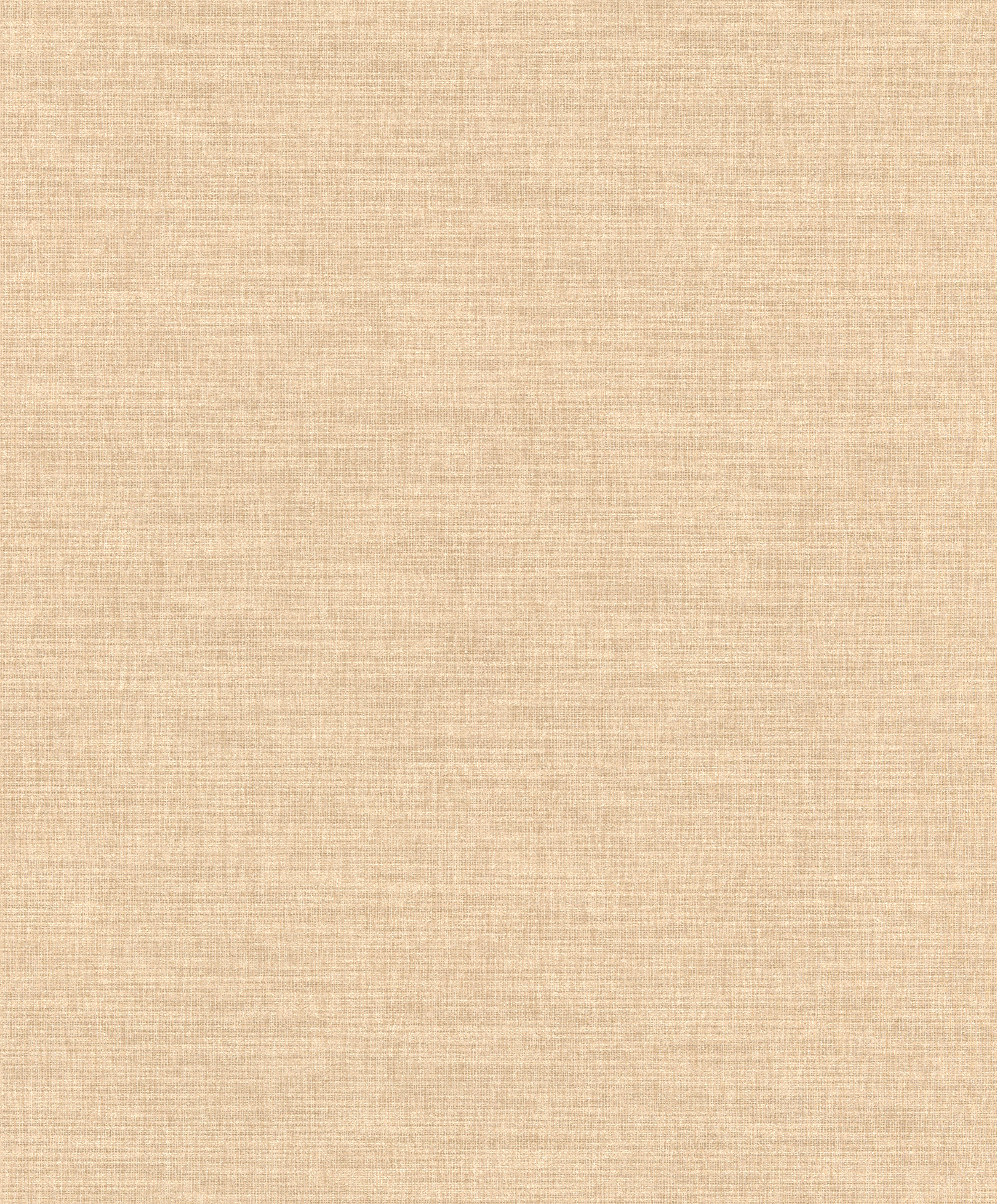 Обои 484779 Rasch Florentine IV