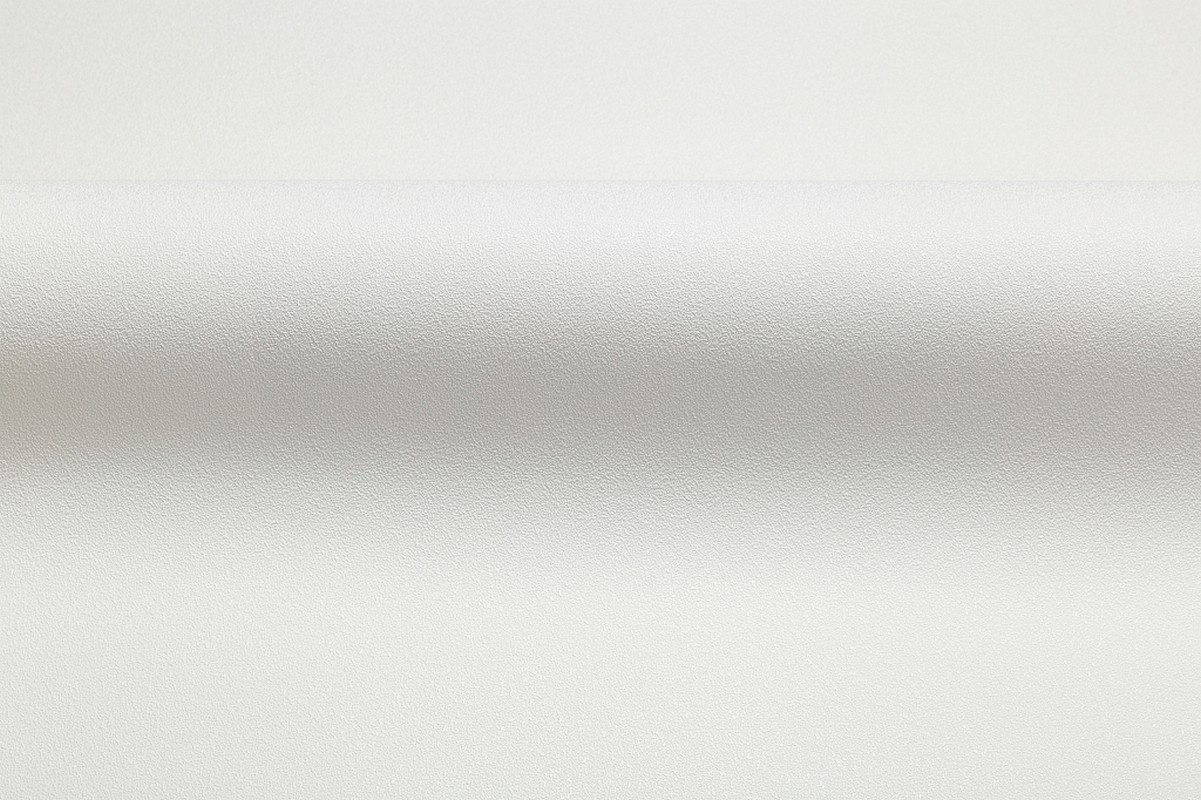 Обои HC71822-14 Palitra Home Color Монохром Palitra Home Color коллекция Монохром производства РОССИЯ в интернет-магазине Обоитрейд