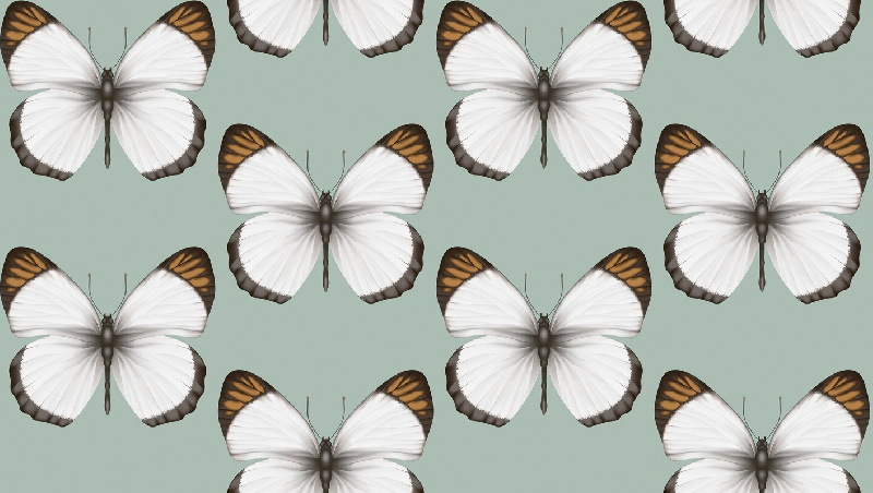 Обои 54401-4 Andrea Rossi Cheradi