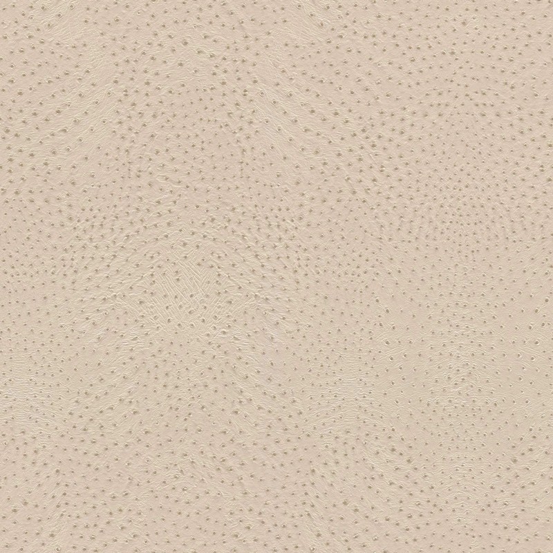 Обои 751512 Rasch African Queen 3