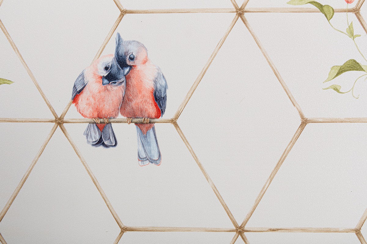 Обои TC72063-21 Palitra Trend Color Топ Вельвет Птички Palitra Trend Color коллекция Топ Вельвет Птички производства РОССИЯ в интернет-магазине Обоитрейд