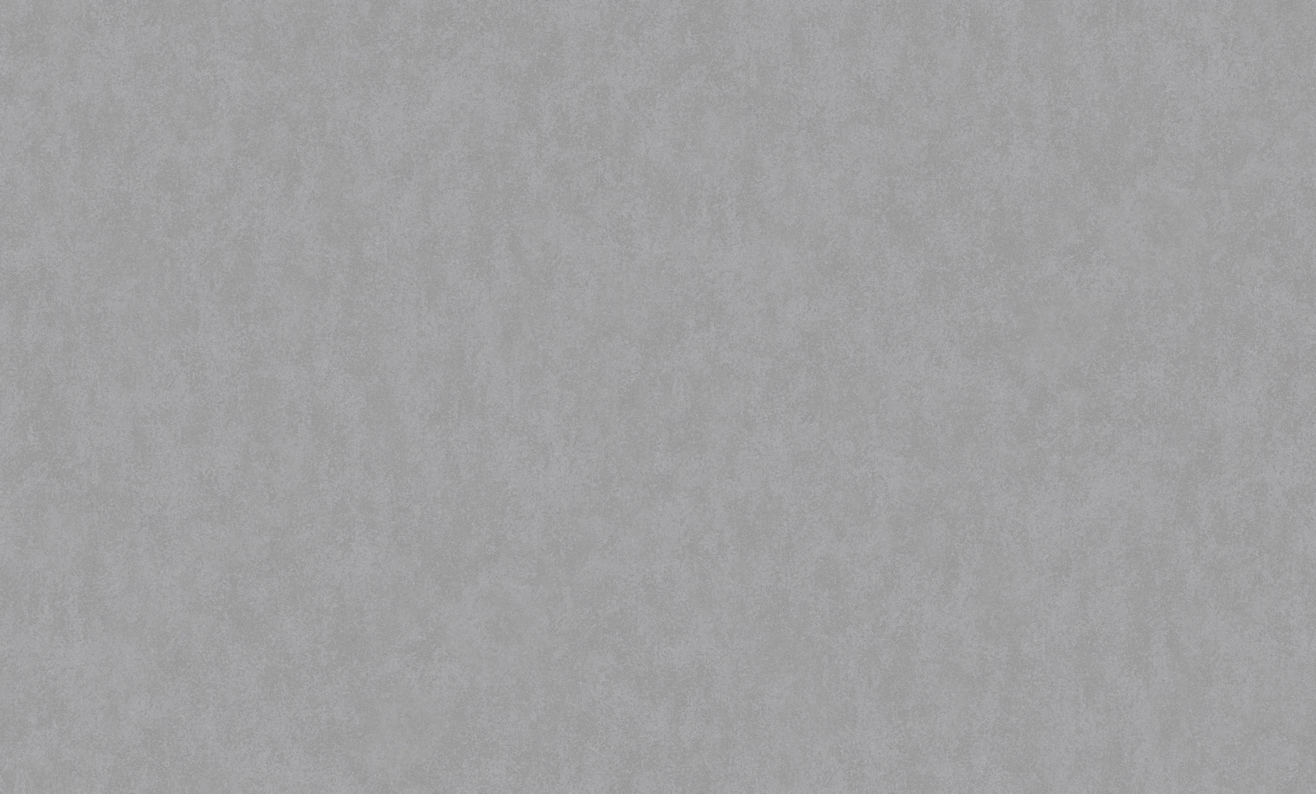 Обои W190029 Rasch Bright Whisper