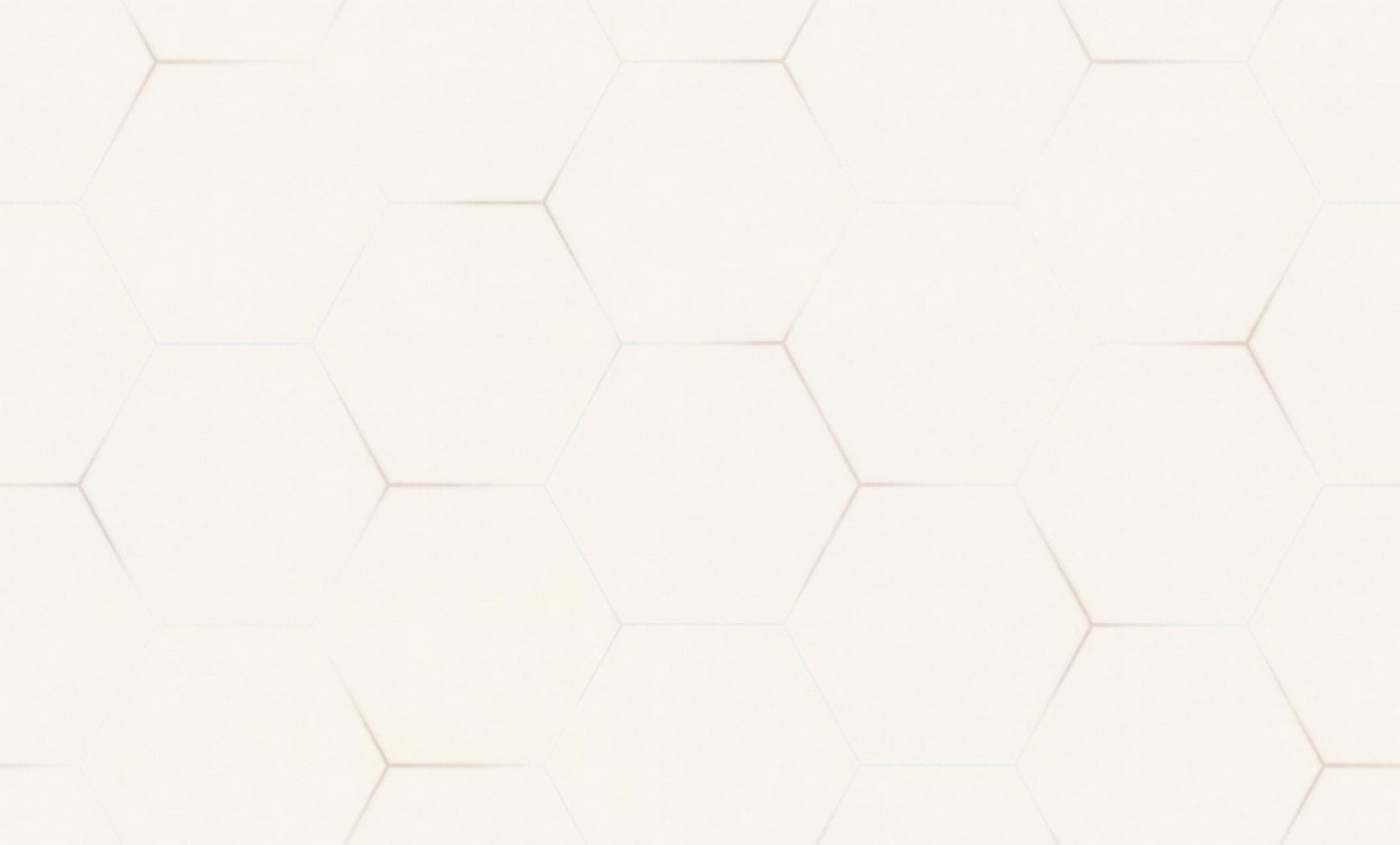 Обои TC72088-21 Palitra Trend Color Топ Вельвет Гексагон Palitra Trend Color коллекция Топ Вельвет Гексагон производства РОССИЯ в интернет-магазине Обоитрейд