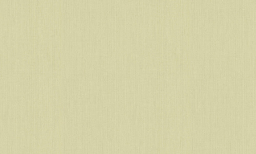 Обои HC71525-77 Home color Monochrome