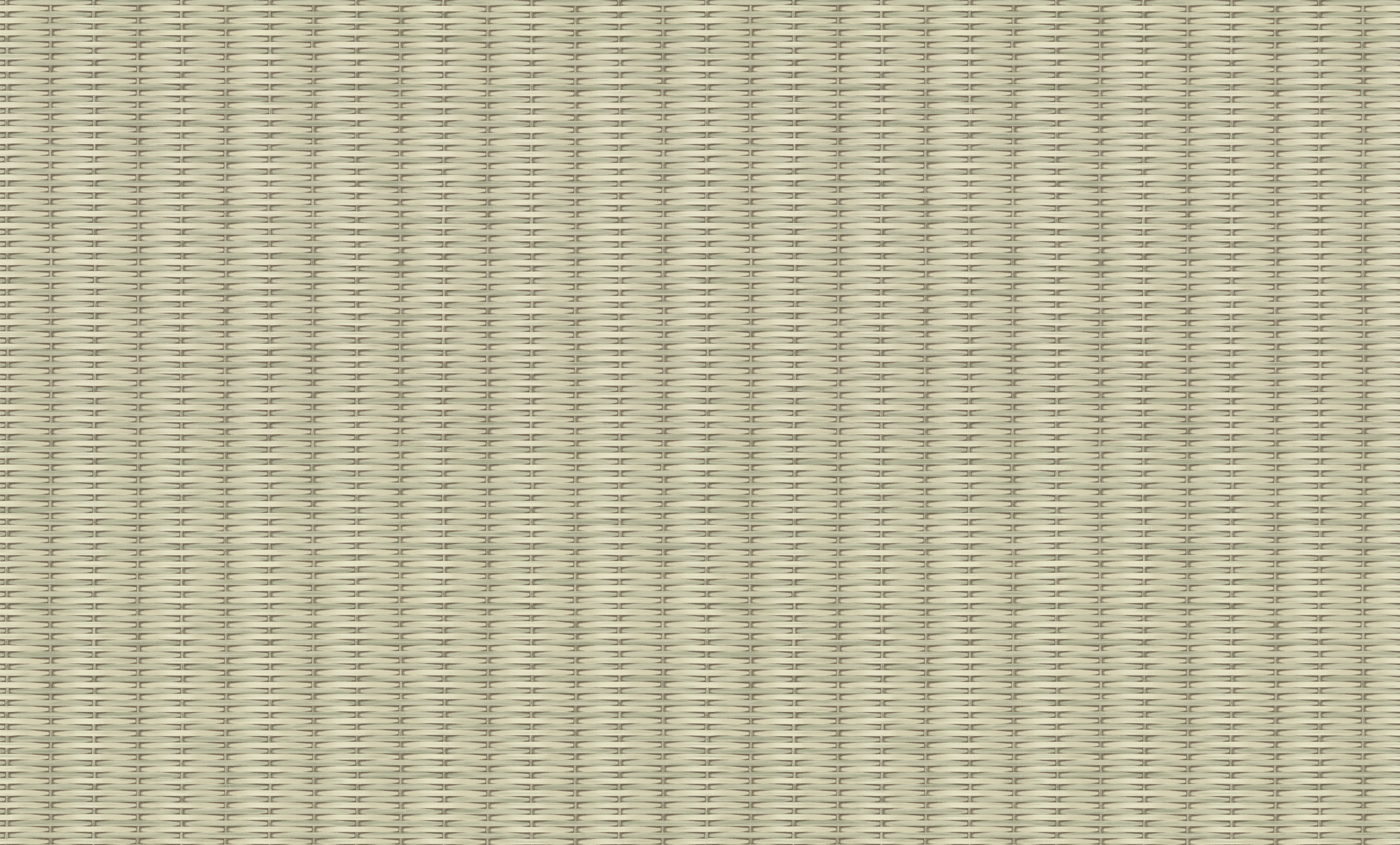 Обои TC72456-27 Palitra Life Тренд Природа Palitra Life коллекция Тренд Природа производства РОССИЯ в интернет-магазине Обоитрейд