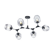 Потолочный светильник Freya Modern FR5006CL-06B