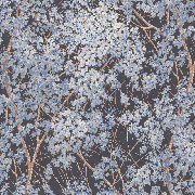 Обои 5051-20 Euro Decor Yuka Euro Decor коллекция Yuka производства РОССИЯ в интернет-магазине Обоитрейд