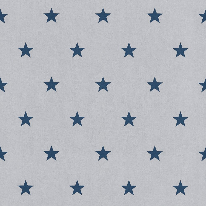 Обои 247602 Rasch Kids&Teens