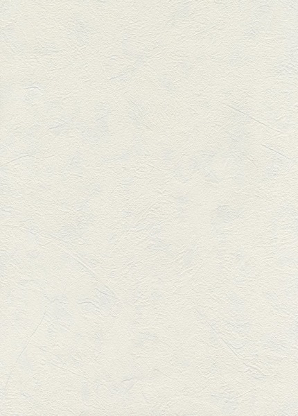 Обои BM25056 Blumarine Блюмарин №2