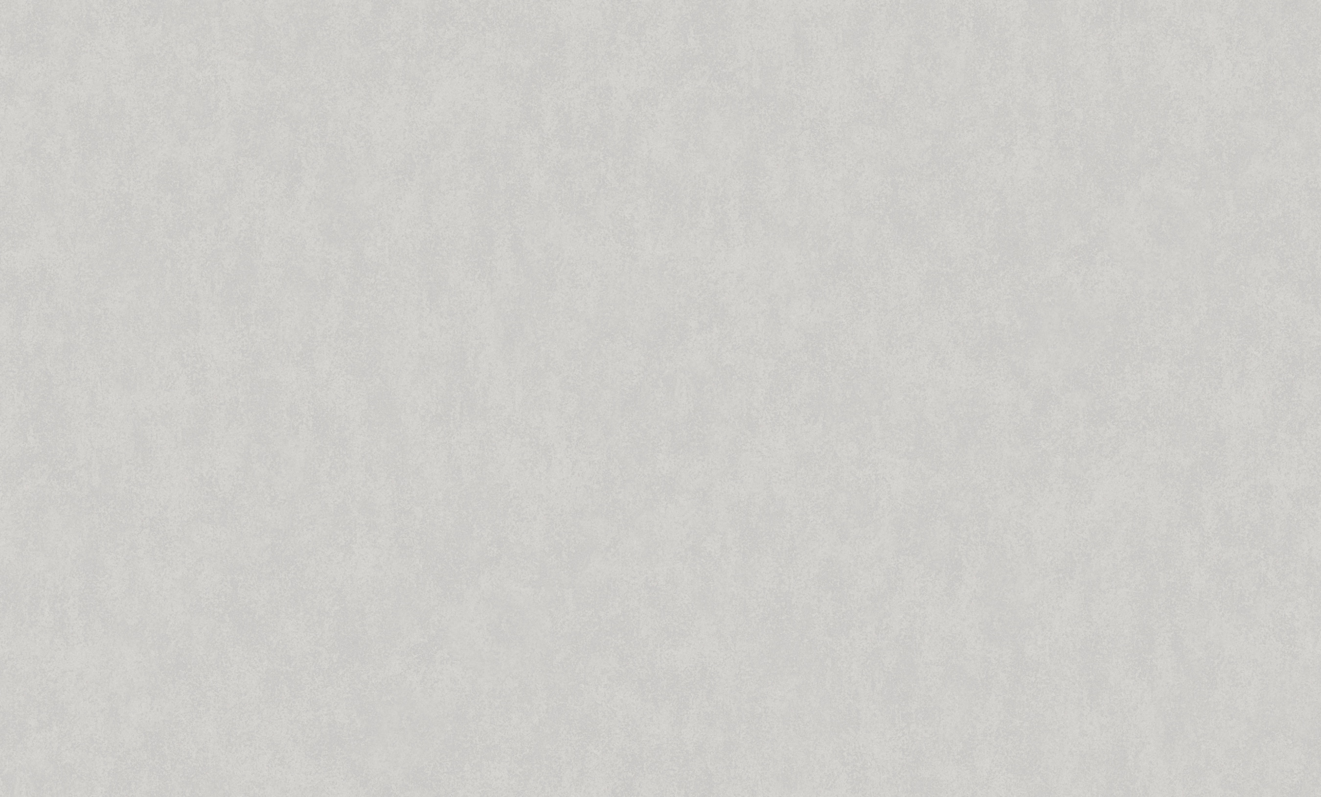 Обои W190023 Rasch Bright Whisper