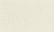 Обои 979367 Rasch Ascona / Wall Textures XL Rasch коллекция Ascona производства Германия в интернет-магазине Обоитрейд