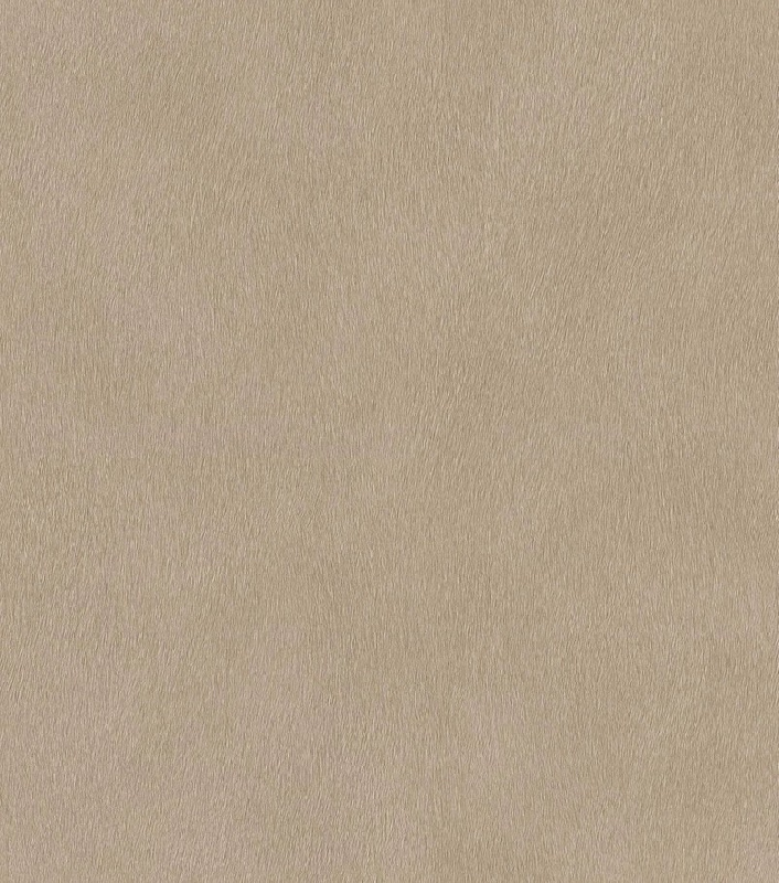 Обои 751055 Rasch African Queen 3