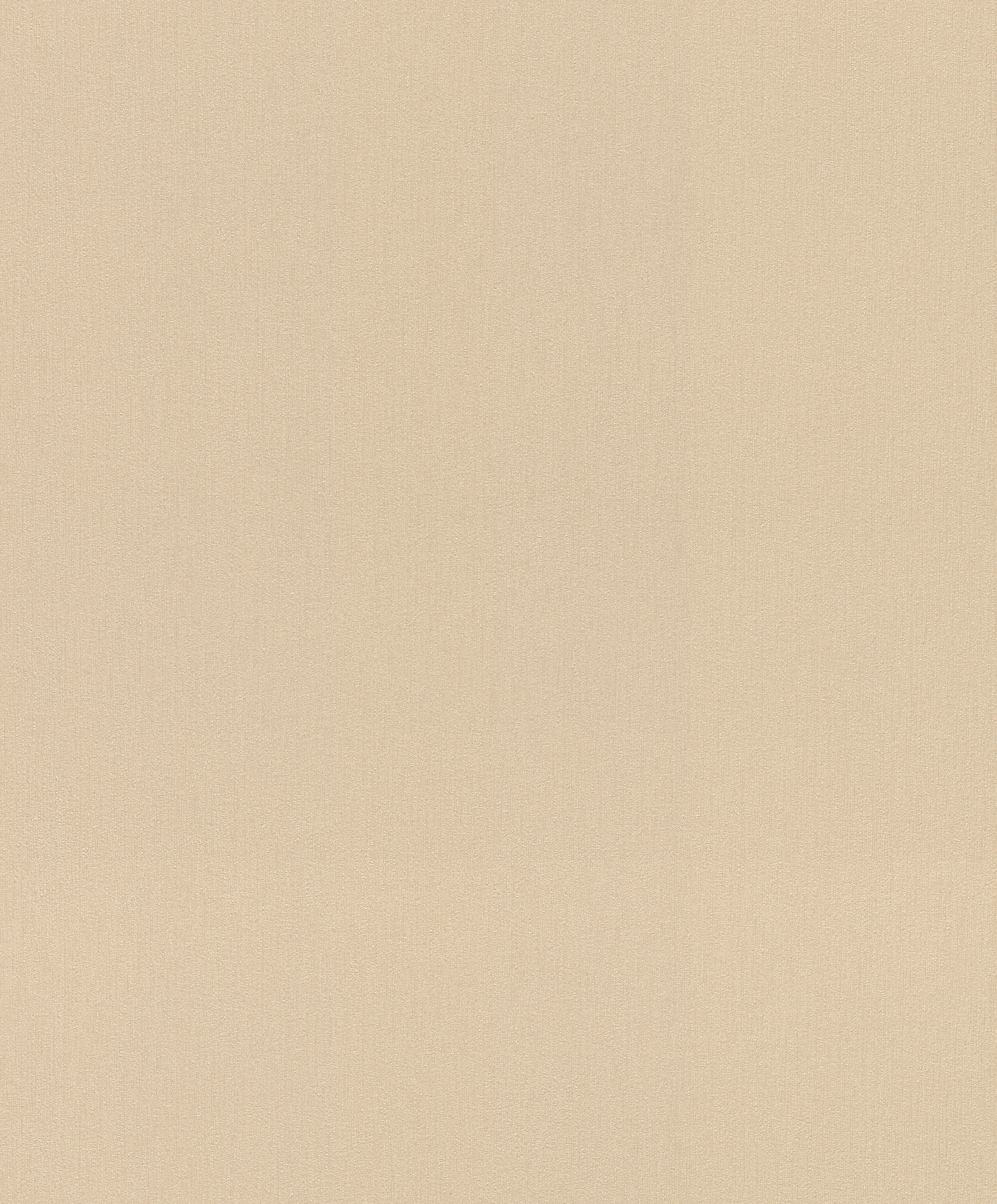 Обои 977608 Rasch Incanto