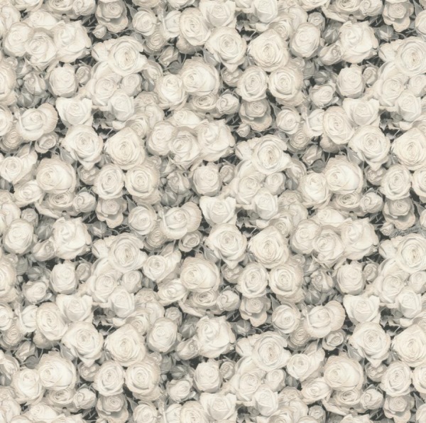 Обои BM25035 Blumarine Блюмарин №2