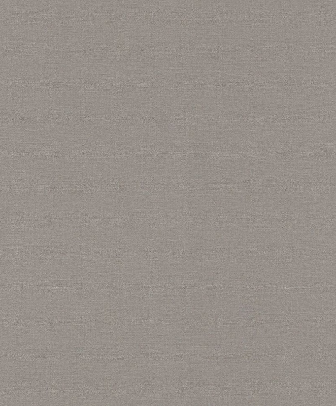 Обои 555875 Rasch Lirico