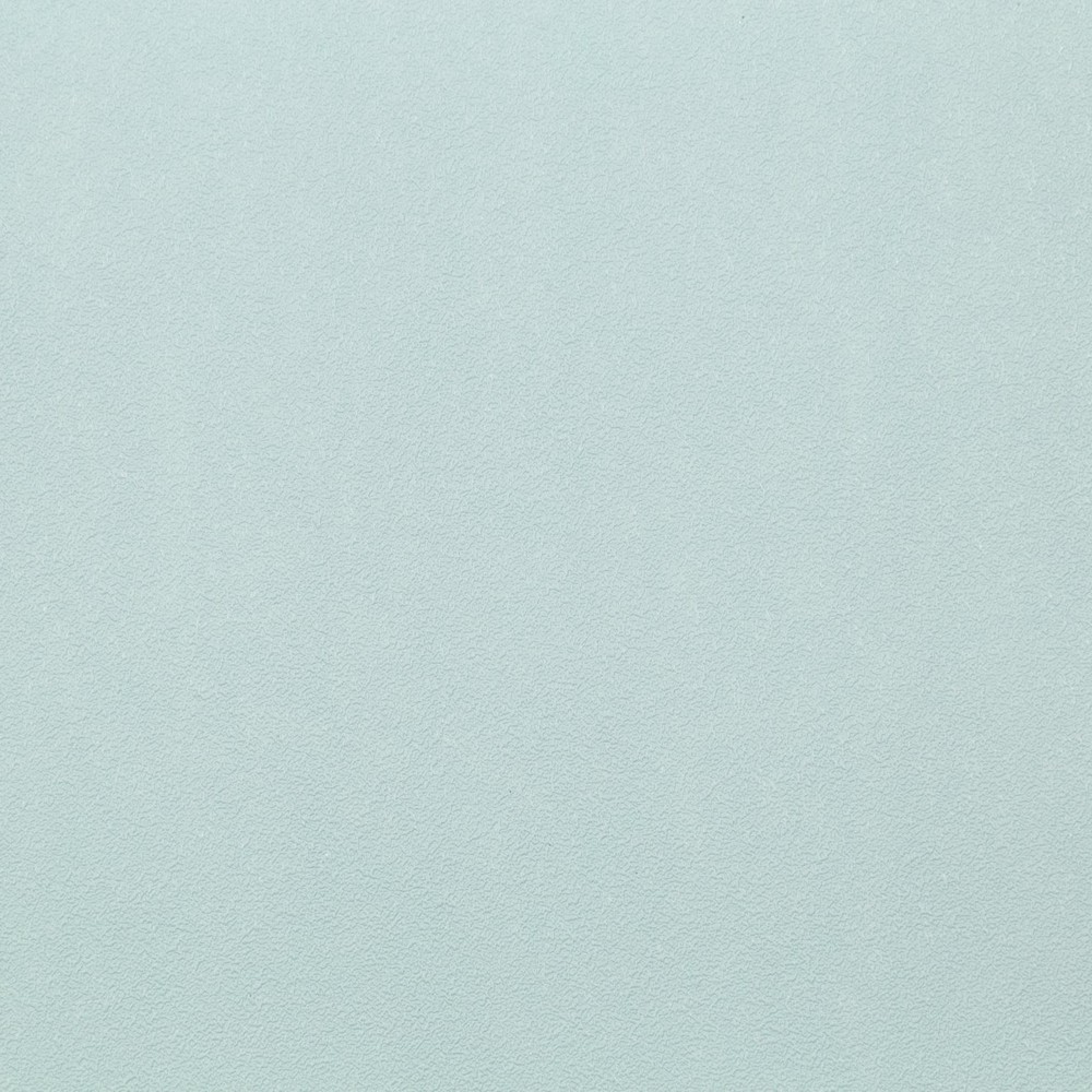 Обои HC71822-67 Palitra Home Color Монохром Palitra Home Color коллекция Монохром производства РОССИЯ в интернет-магазине Обоитрейд