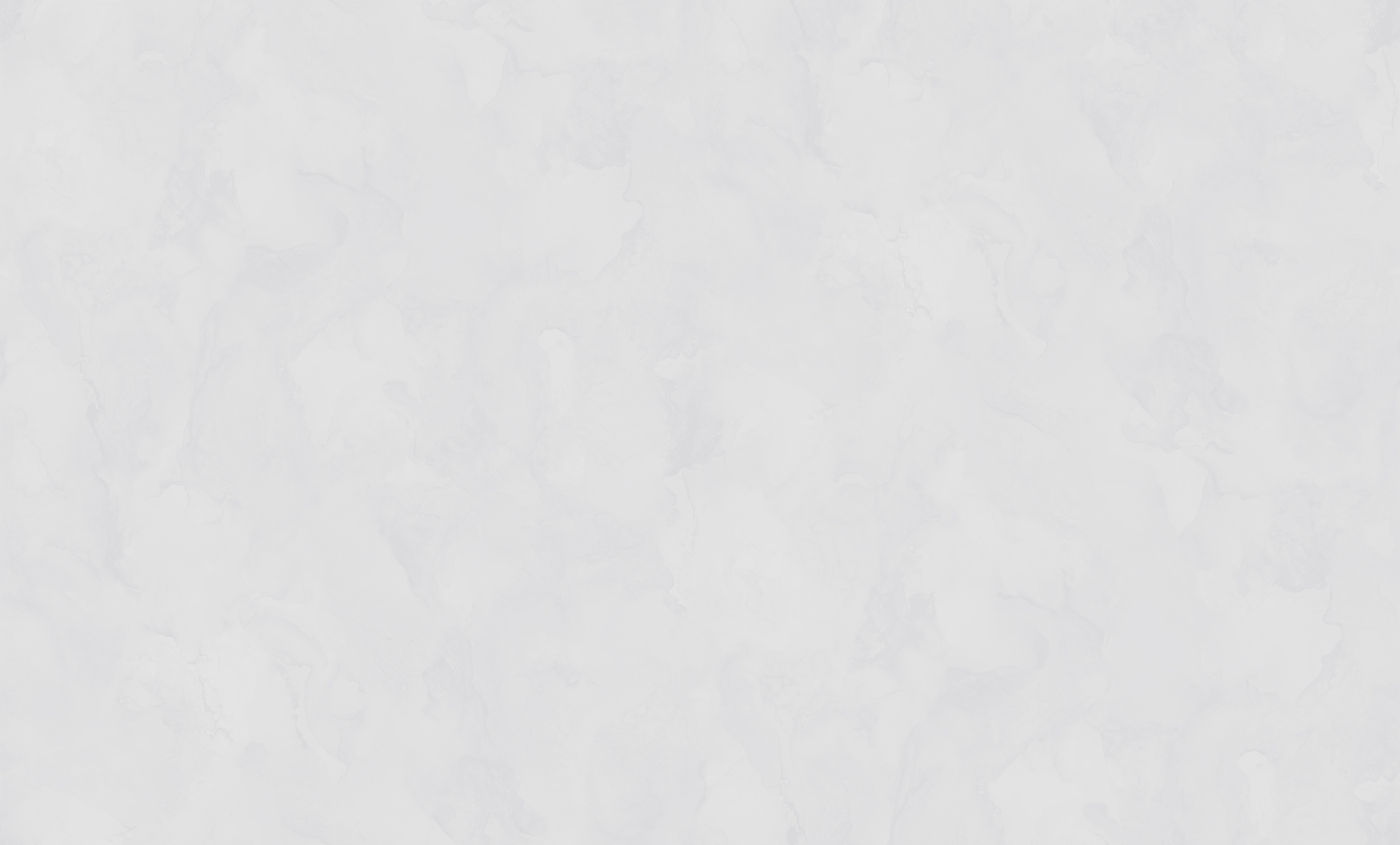 Обои W197003 Rasch Bright Whisper