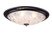 Потолочный светильник Maytoni Ceiling & Wall C907-CL-06-R