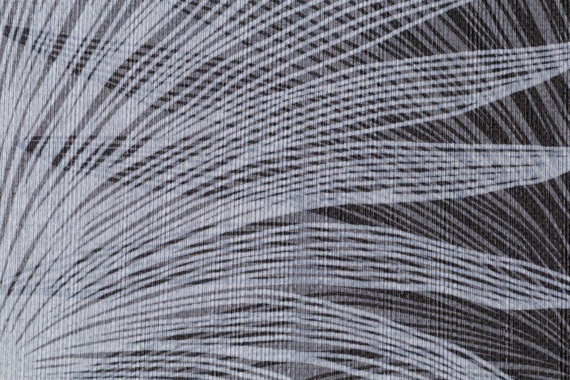 Обои HC72073-48 Palitra Home Color Пальма Palitra Home Color коллекция Пальма производства РОССИЯ в интернет-магазине Обоитрейд