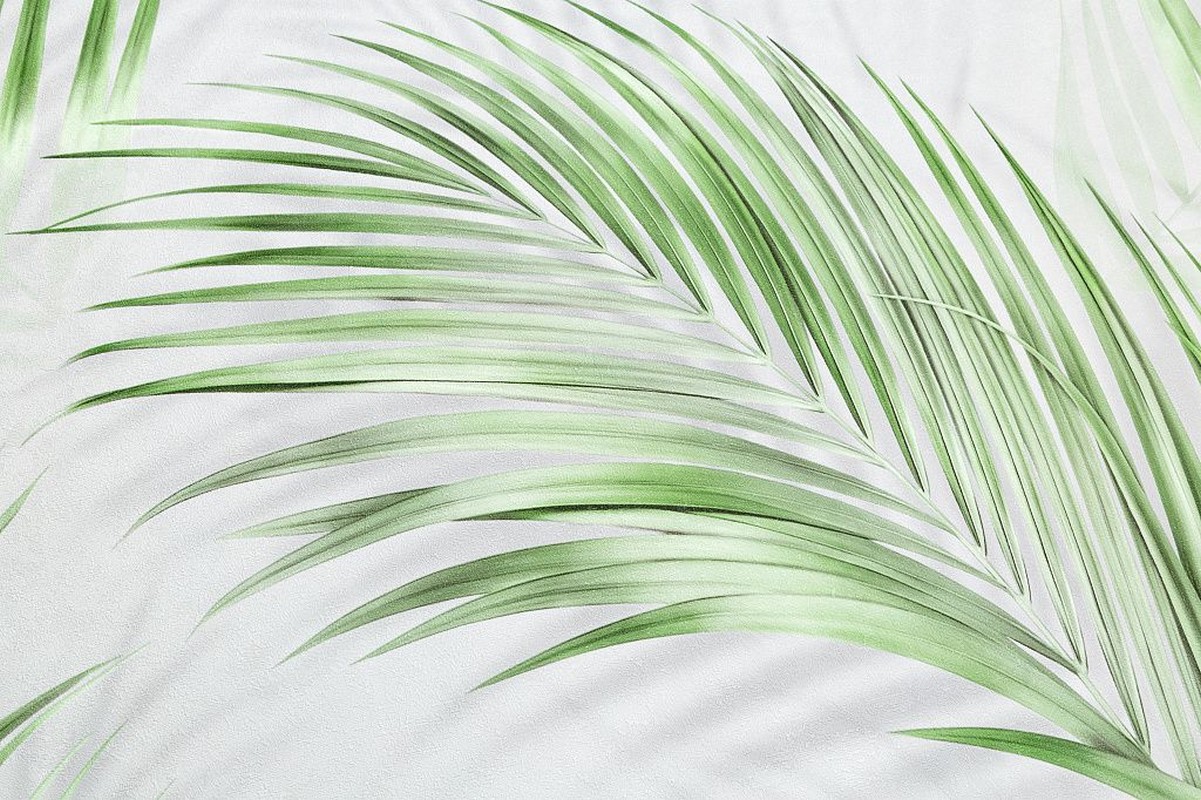 Обои HC71973-47 Palitra Home Color Тени тропиков Palitra Home Color коллекция Тени тропиков производства РОССИЯ в интернет-магазине Обоитрейд