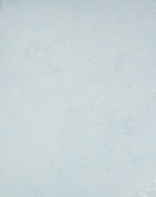 Обои 5012-3 Bernardo Bartalucci Cesara