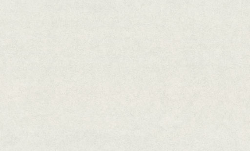 Обои 7309-02 Euro Decor Era 2 Euro Decor коллекция Era 2 производства РОССИЯ в интернет-магазине Обоитрейд