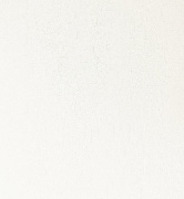 Обои 9567 Marburg Patent Decor Laser Marburg коллекция Patent Decor Laser производства Германия в интернет-магазине Обоитрейд