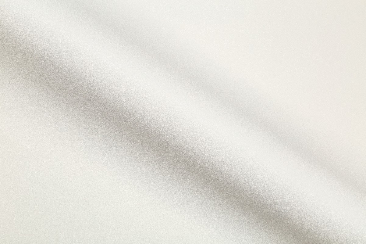 Обои HC71822-12 Palitra Home Color Монохром Palitra Home Color коллекция Монохром производства РОССИЯ в интернет-магазине Обоитрейд