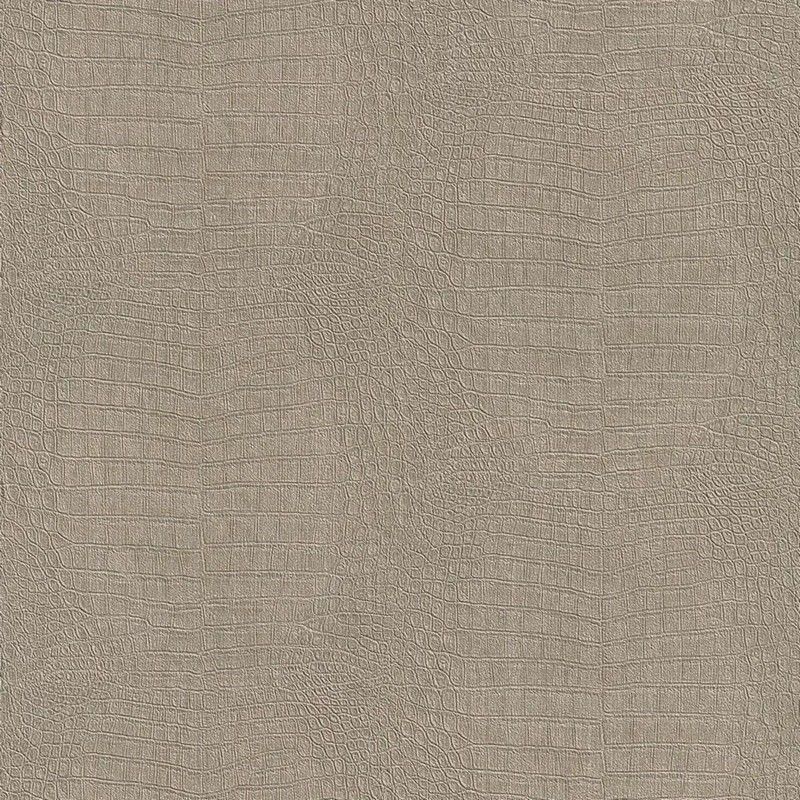 Обои 423419 Rasch African Queen