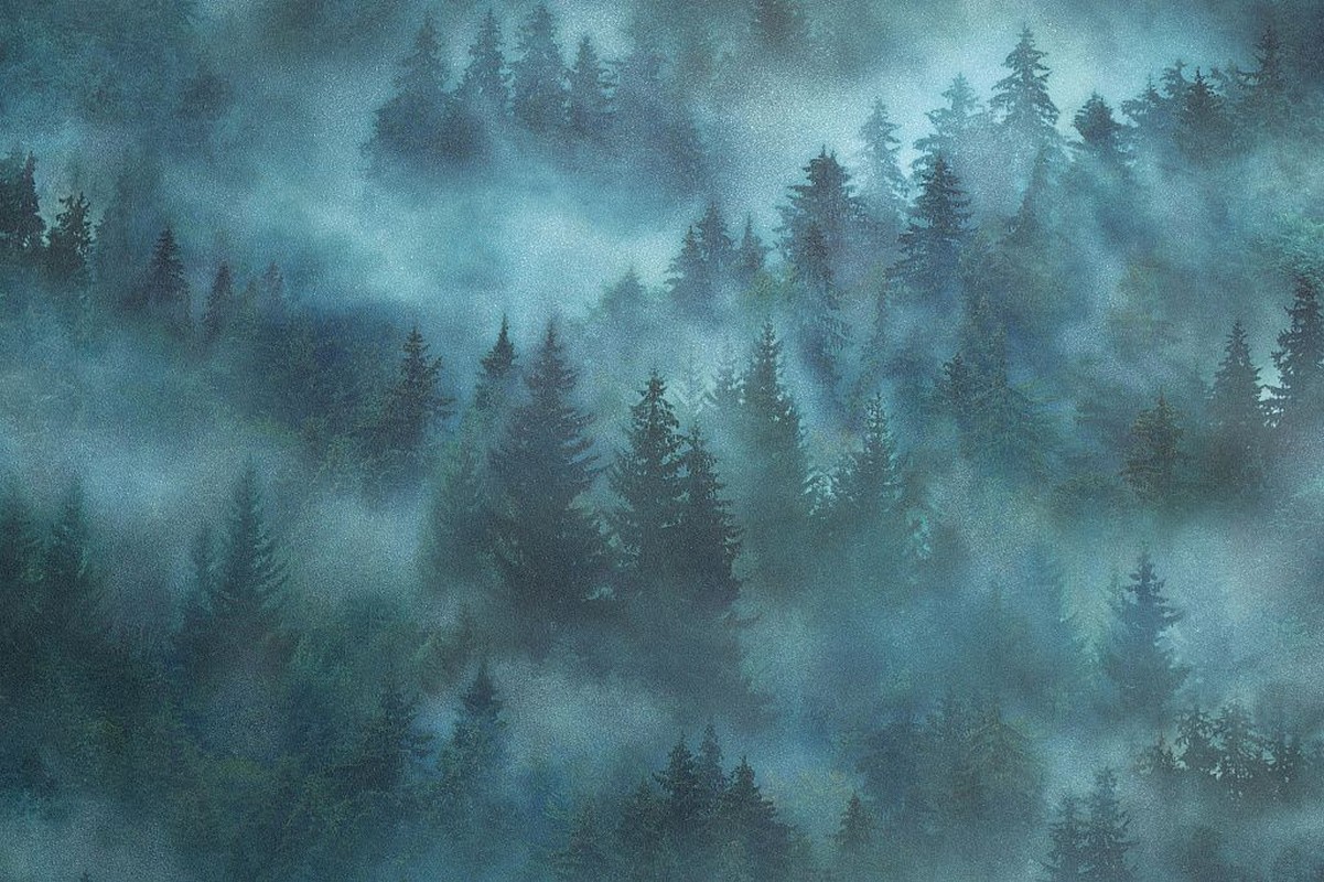 Обои HC71960-67 Palitra Home Color Мой Лес Palitra Home Color коллекция Мой Лес производства РОССИЯ в интернет-магазине Обоитрейд