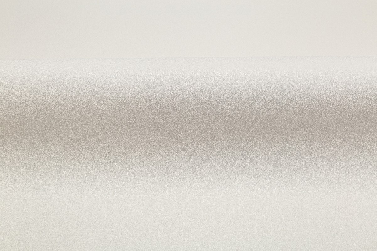 Обои HC71822-25 Palitra Home Color Монохром Palitra Home Color коллекция Монохром производства РОССИЯ в интернет-магазине Обоитрейд