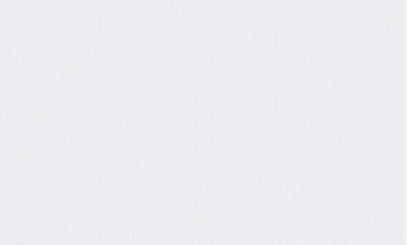 Обои VC8785-65 VOG Маноло