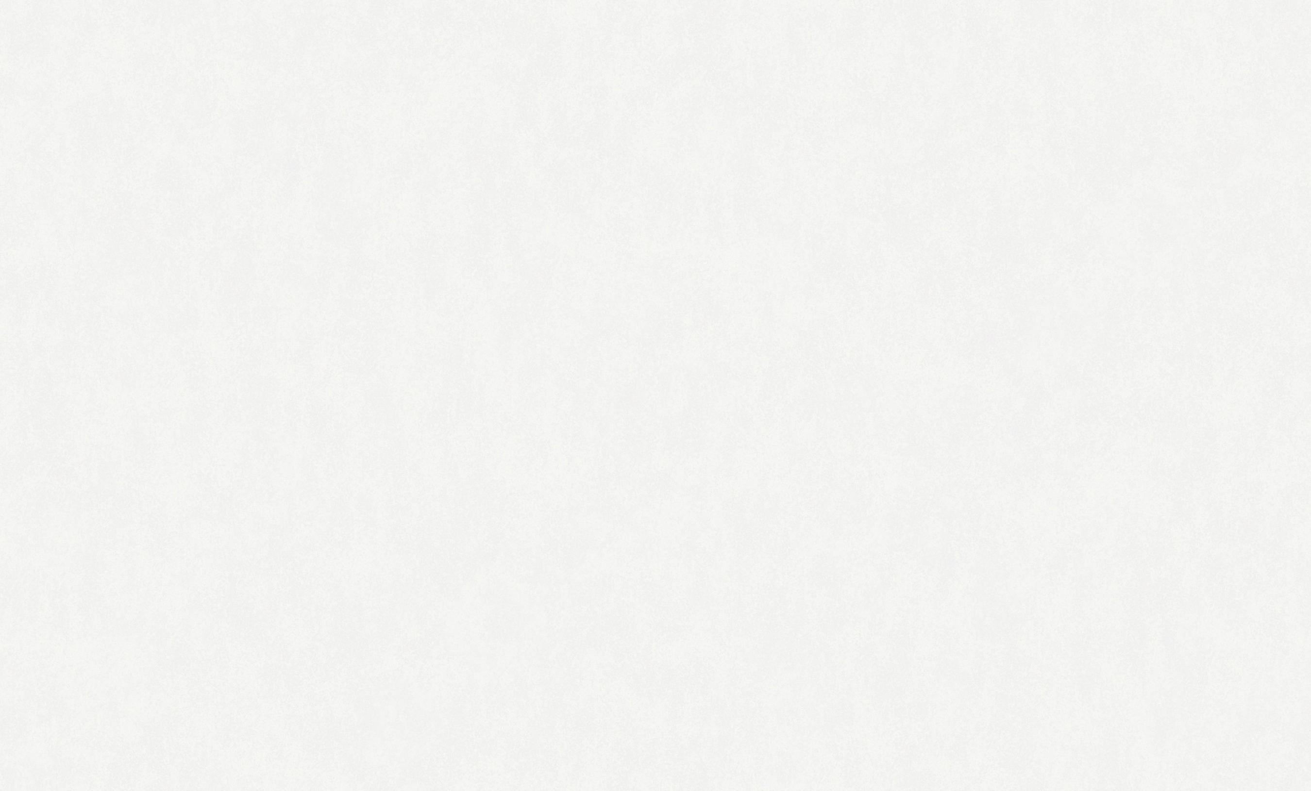 Обои W190001 Rasch Bright Whisper