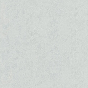 Обои 9236-11 Euro Decor Techno Euro Decor коллекция Techno производства РОССИЯ в интернет-магазине Обоитрейд