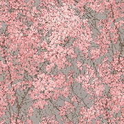 Обои 5051-08 Euro Decor Yuka Euro Decor коллекция Yuka производства РОССИЯ в интернет-магазине Обоитрейд