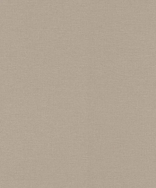 Обои 555868 Rasch Lirico