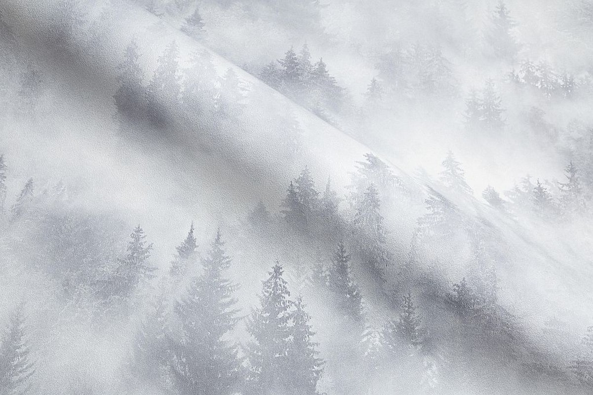 Обои HC71960-14 Palitra Home Color Мой Лес Palitra Home Color коллекция Мой Лес производства РОССИЯ в интернет-магазине Обоитрейд