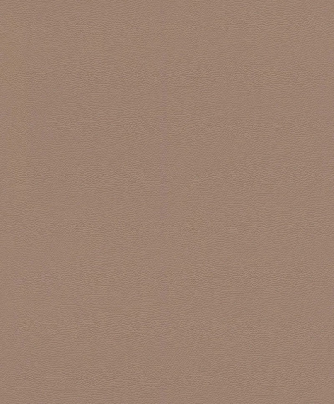 Обои 752724 Rasch African Queen 3