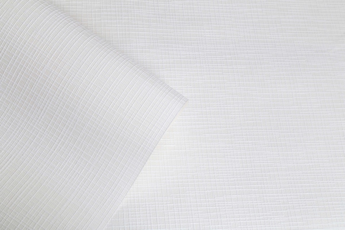 Обои HC40002-01a Palitra Home Color Нано Palitra Home Color коллекция Нано производства РОССИЯ в интернет-магазине Обоитрейд