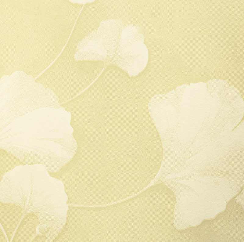 Обои 5070-2 Bernardo Bartalucci Legend