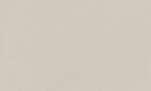 Обои 7302-06 Euro Decor Base Euro Decor коллекция Base производства РОССИЯ в интернет-магазине Обоитрейд