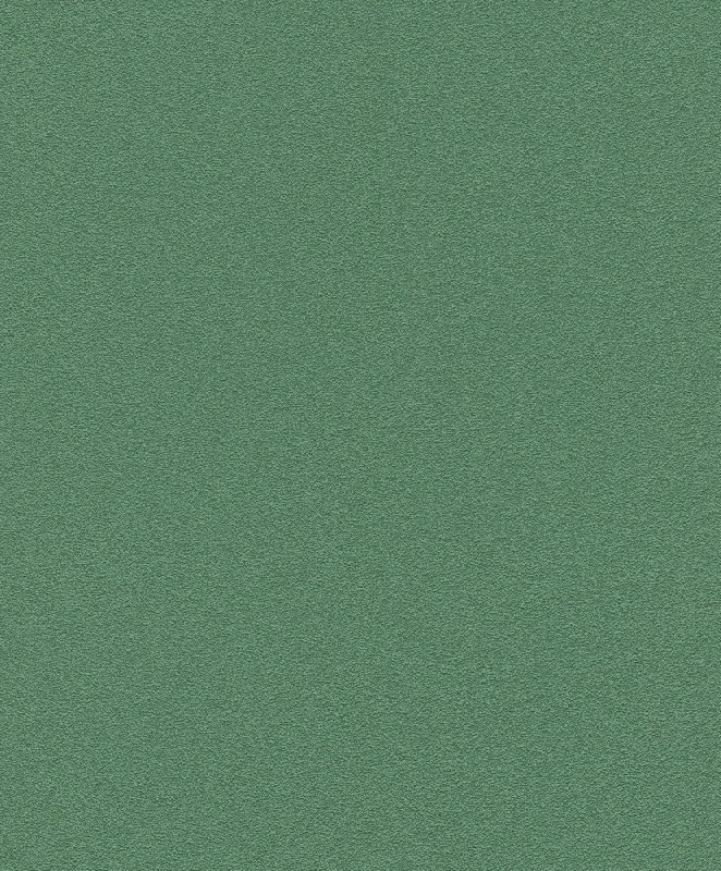 Обои 469158 Rasch Kids&Teens 3