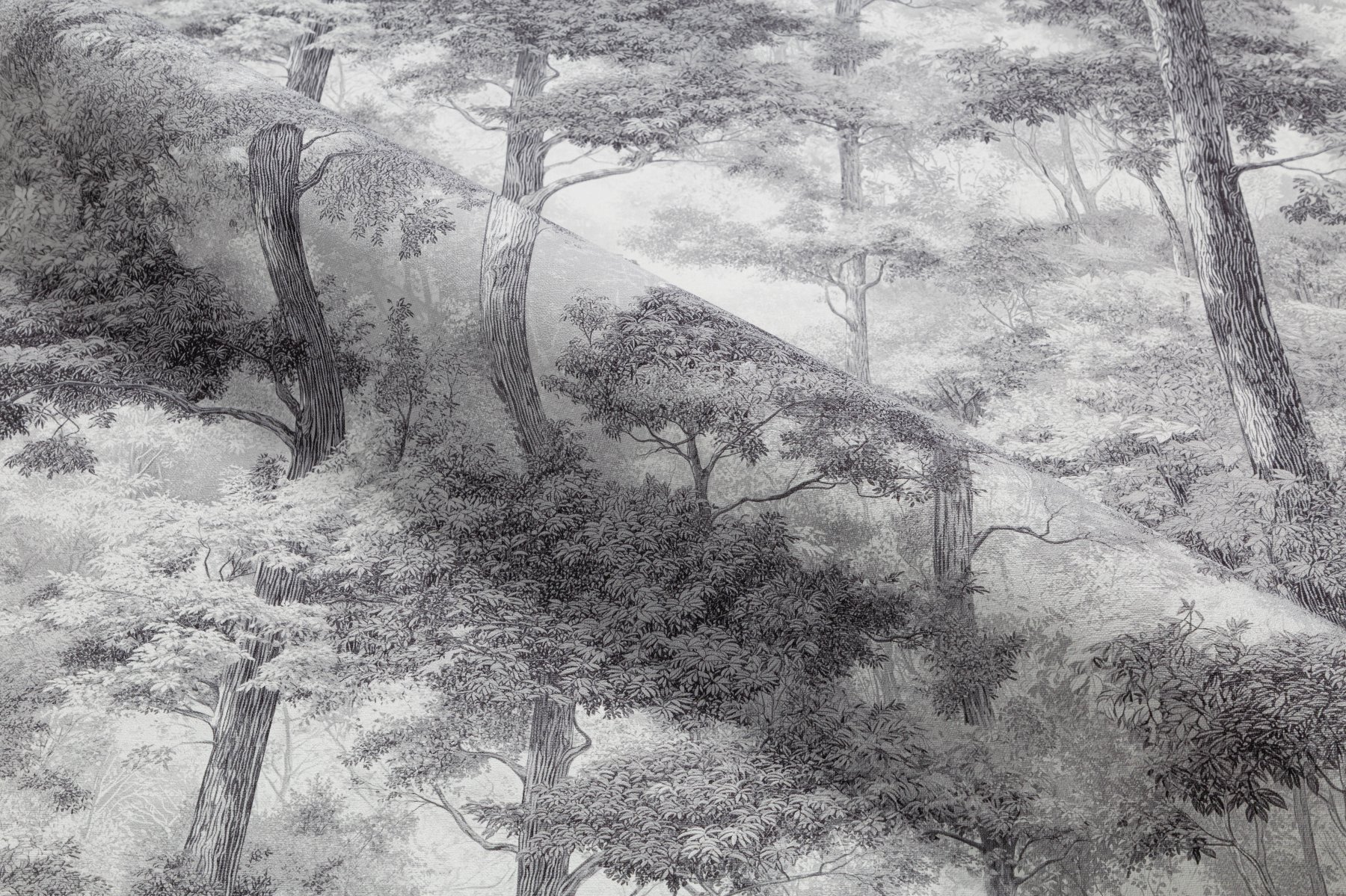 Обои TC72703-41 Palitra Trend Color Тренд Энергия леса Palitra Trend Color коллекция Тренд Энергия леса производства  в интернет-магазине Обоитрейд