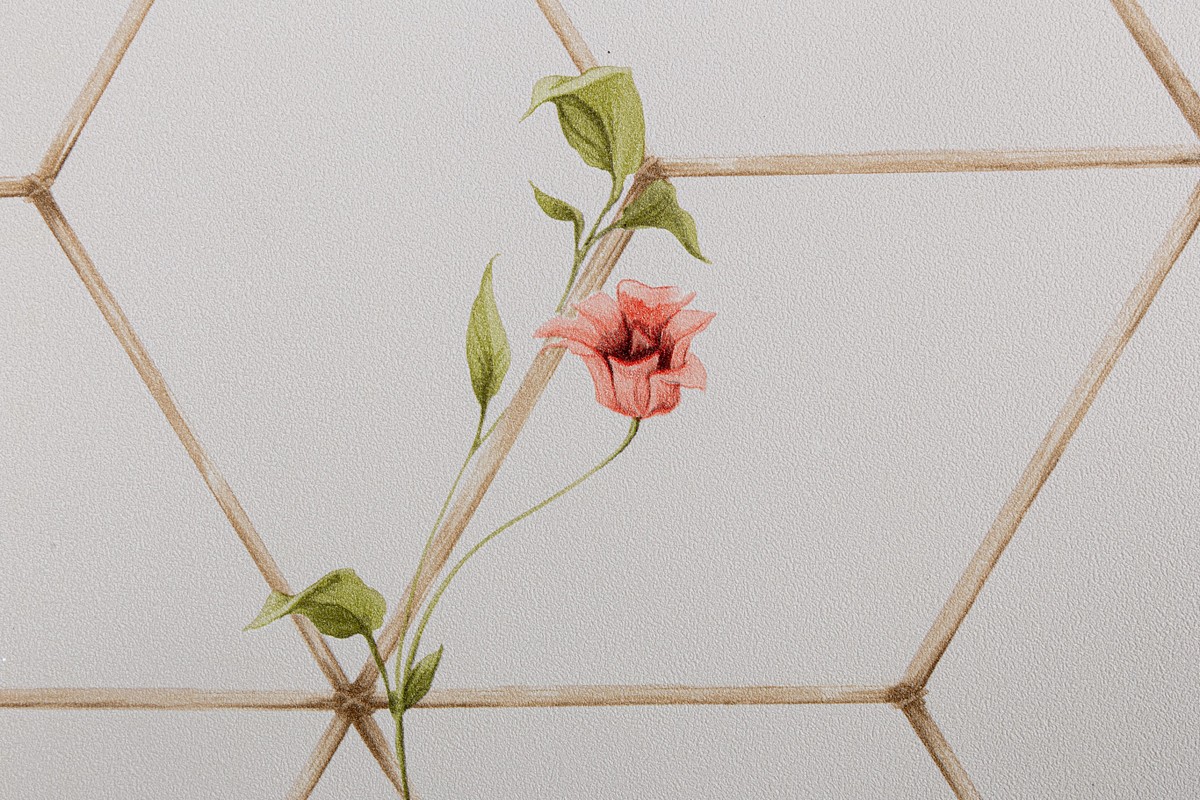 Обои TC72063-21 Palitra Trend Color Топ Вельвет Птички Palitra Trend Color коллекция Топ Вельвет Птички производства РОССИЯ в интернет-магазине Обоитрейд