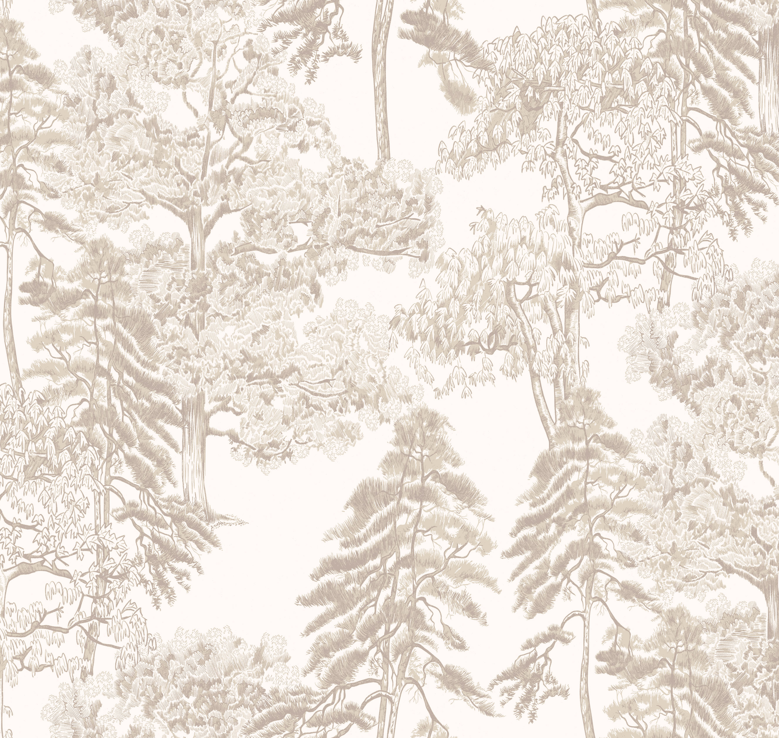 Обои AM5 002/2 Milassa Ambiplain 4 Milassa коллекция Ambiplain 4 производства  в интернет-магазине Обоитрейд